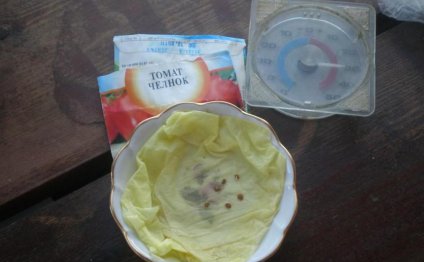 How To Cultivate Dissolve