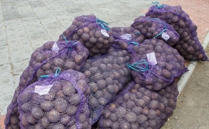 Potatoes For Landing